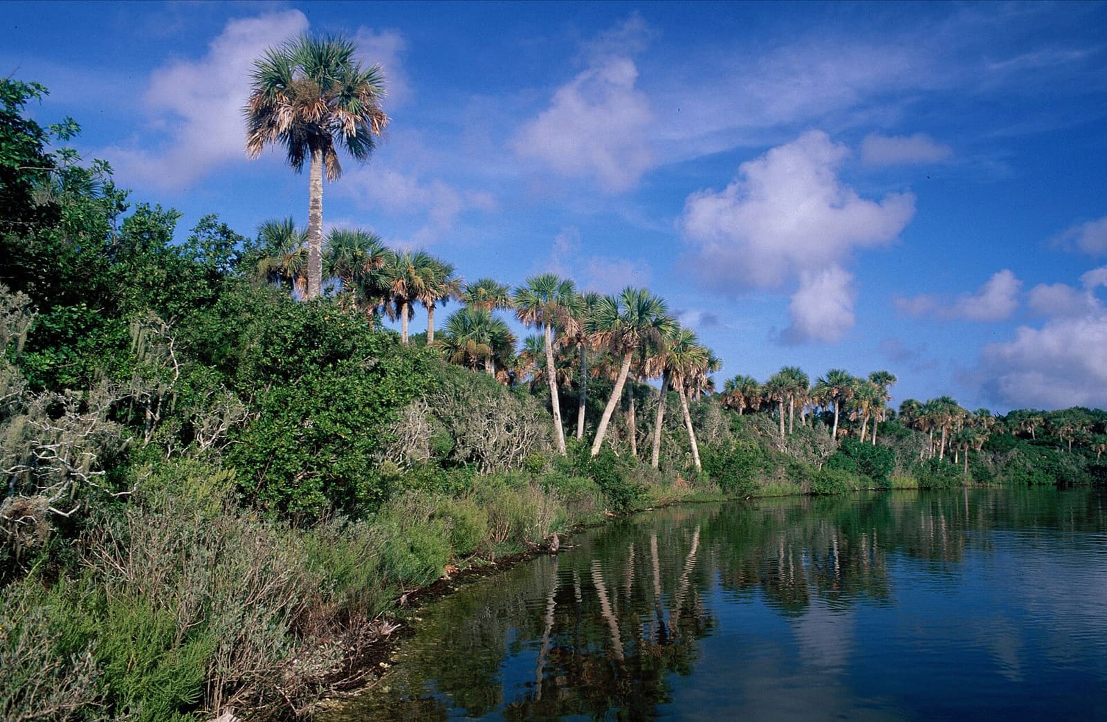 Mosquito Lagoon at Canaveral National Seashore, the undeveloped edge of the Indian River system that defines south Brevard.